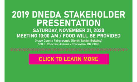 2019 DNEDA Stakeholders Presentation