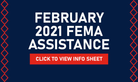 Winter Storm February 2021 FEMA Assistance Information